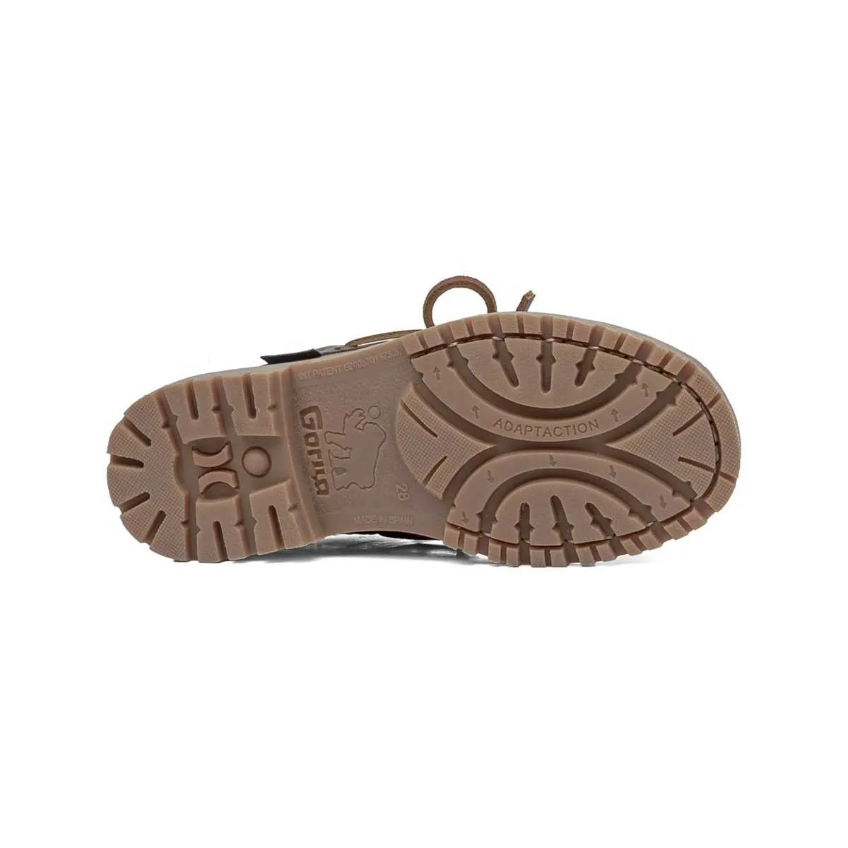 25350 | Taylor Marron