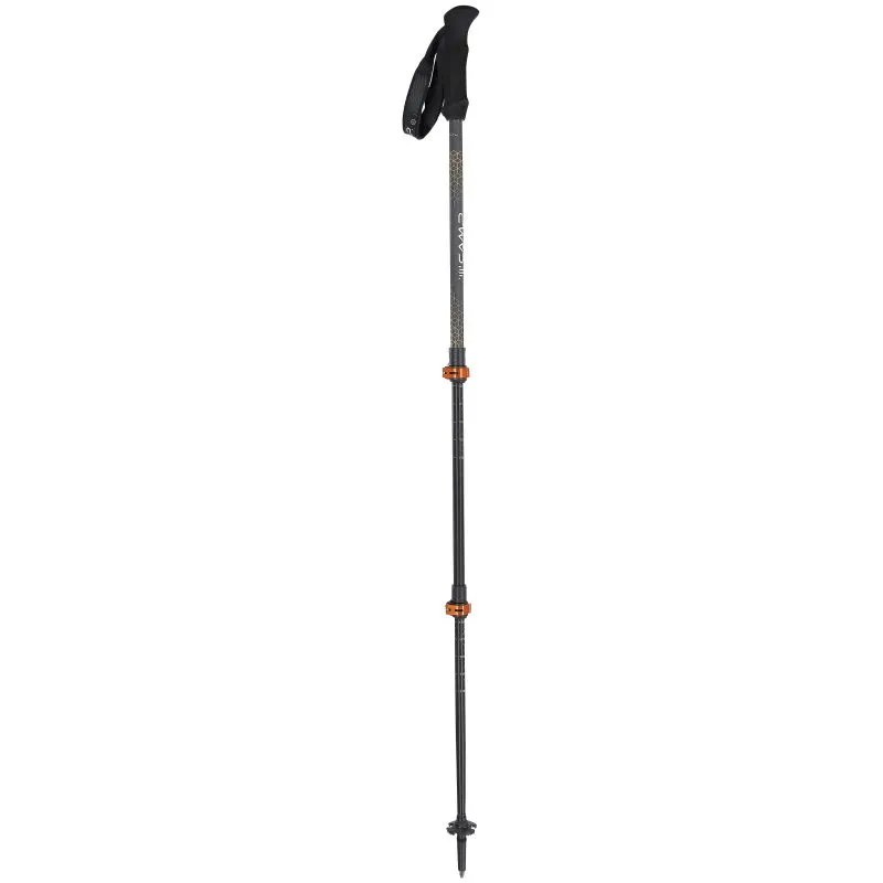 Bastones de senderismo Camp Backcountry Pro