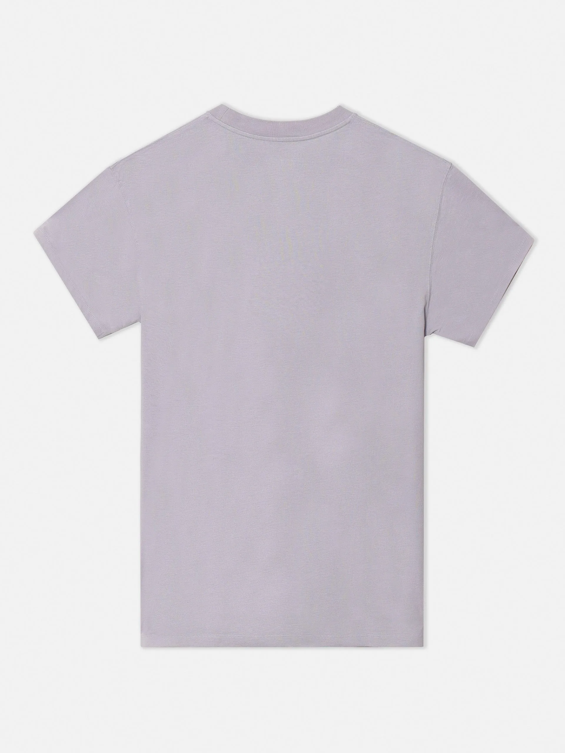 Camiseta silbon special fit gris