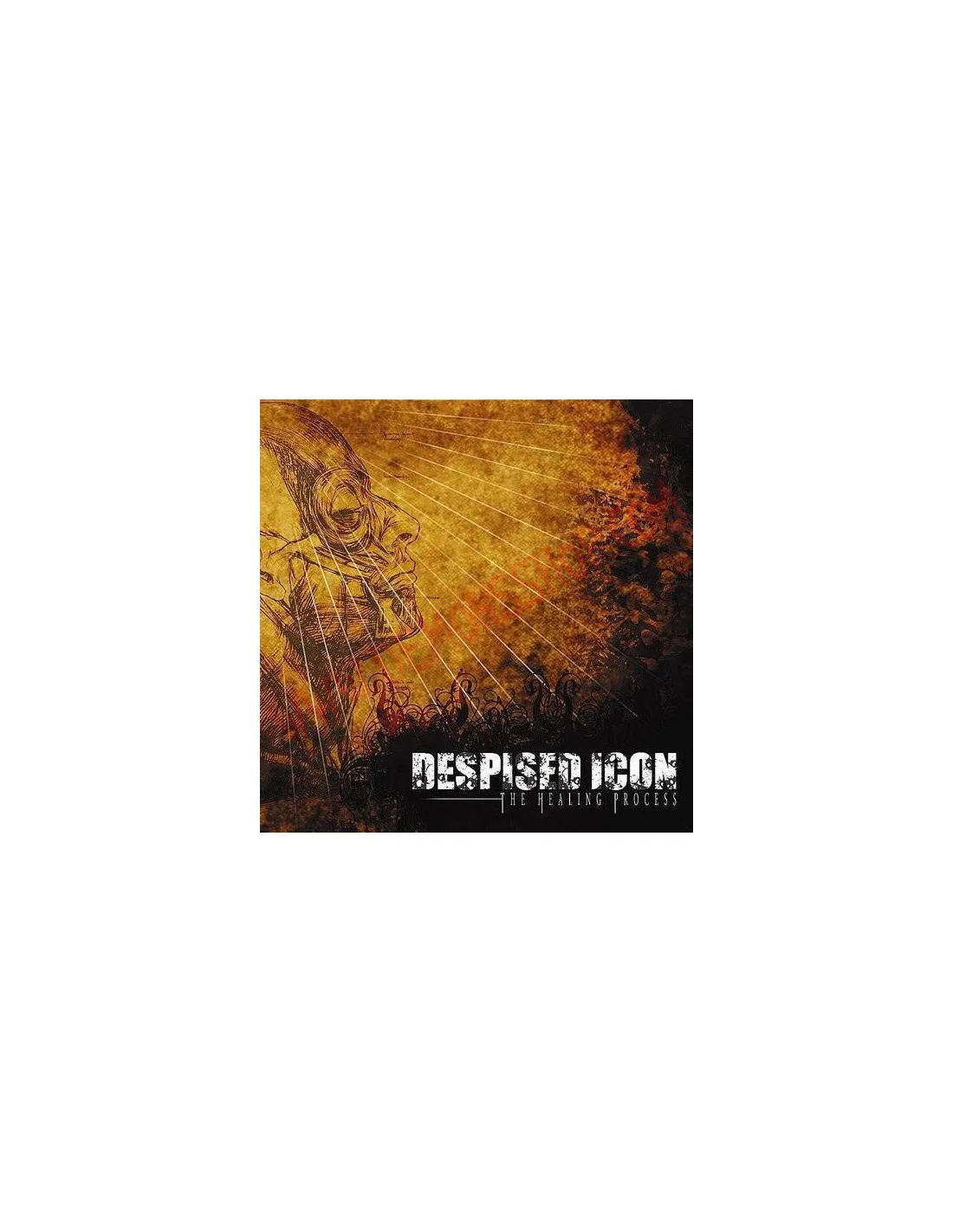 CD DESPISED ICON  THE HEALING PROCESS