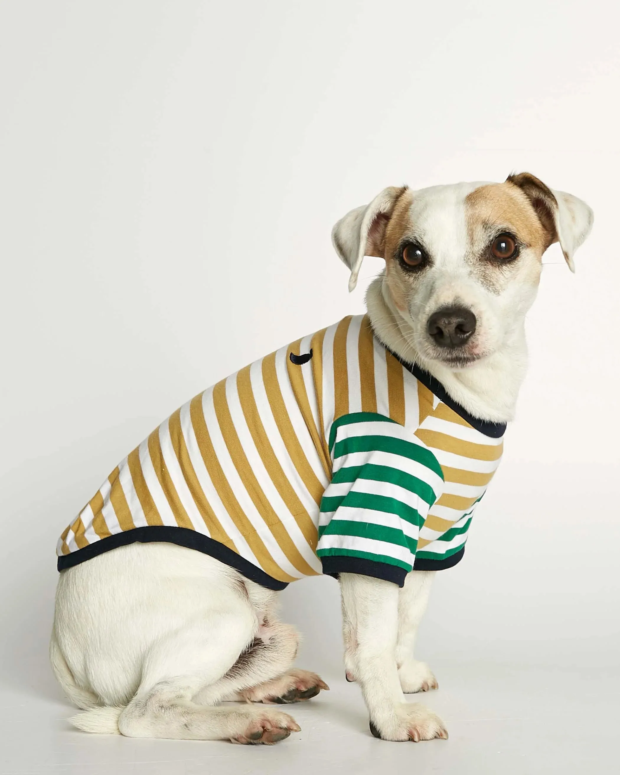 DAVID YELLOW AND GREEN ORGANIC COTTON DOG TSHIRT