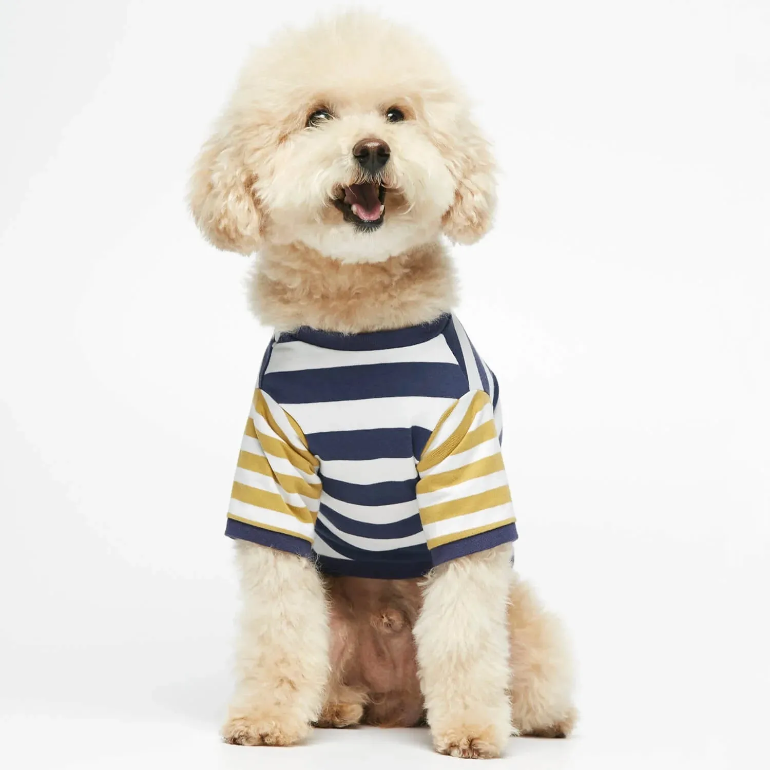 ELLSWORTH NAVY BLUE & YELLOW STRIPED ORGANIC COTTON TSHIRT