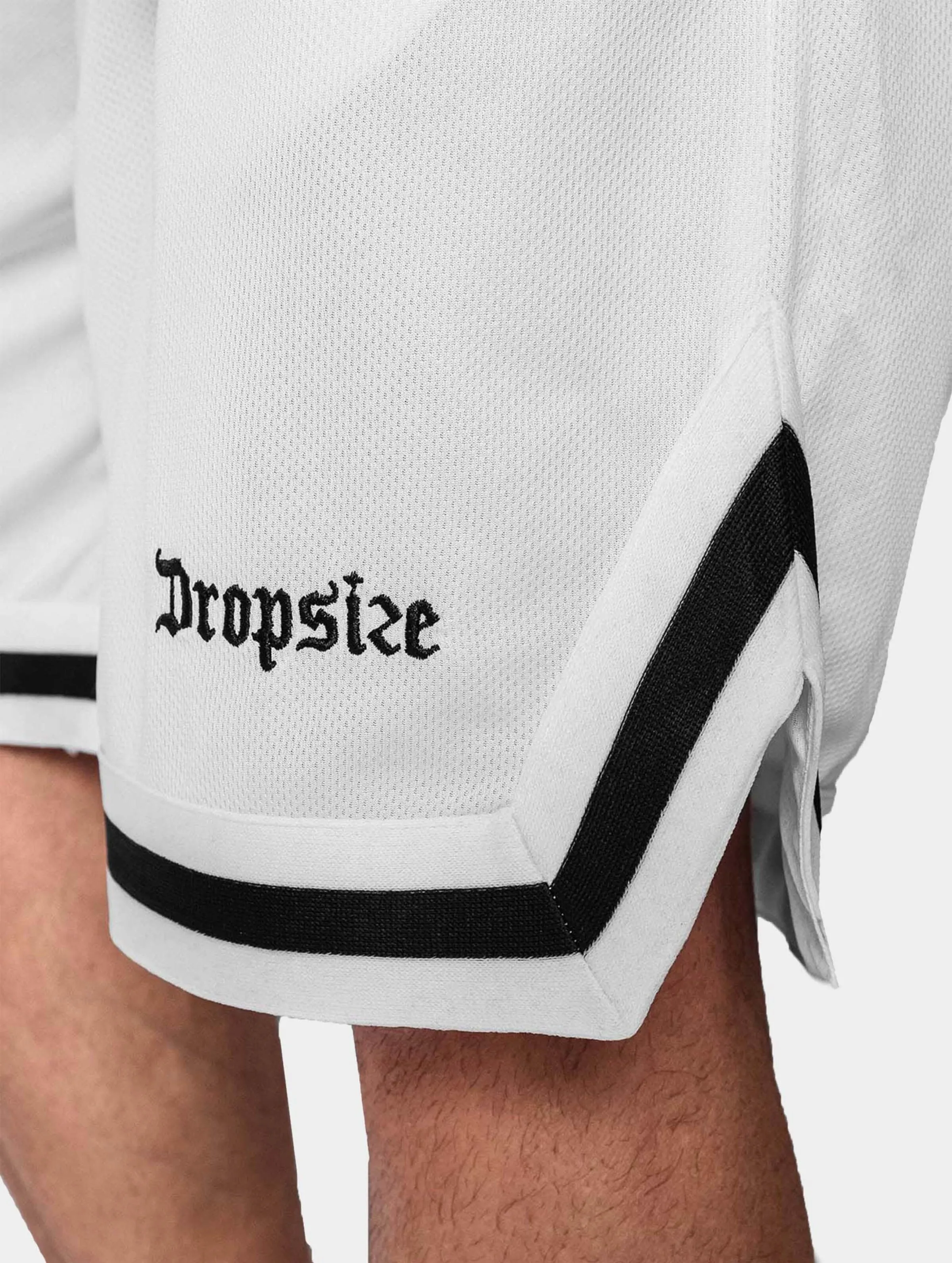 Logo Mesh 