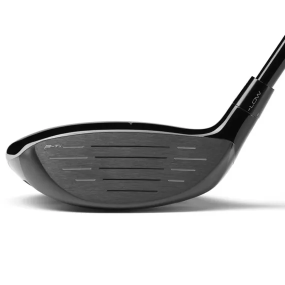MADERA DE CALLE MIZUNO STG TITANIUM