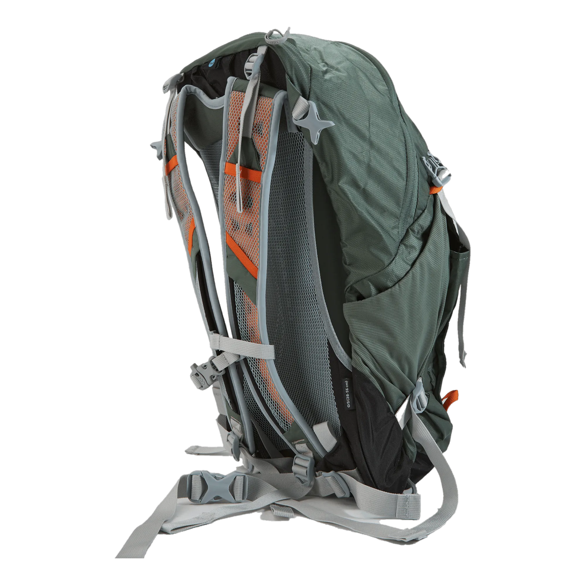 Osprey Hikelite 26 Pine Leaf Green
