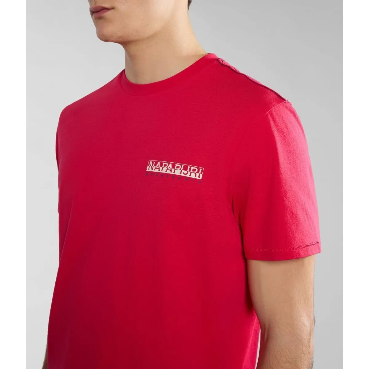 SGRAS NP0A4HQNR25 RED BARBERRY