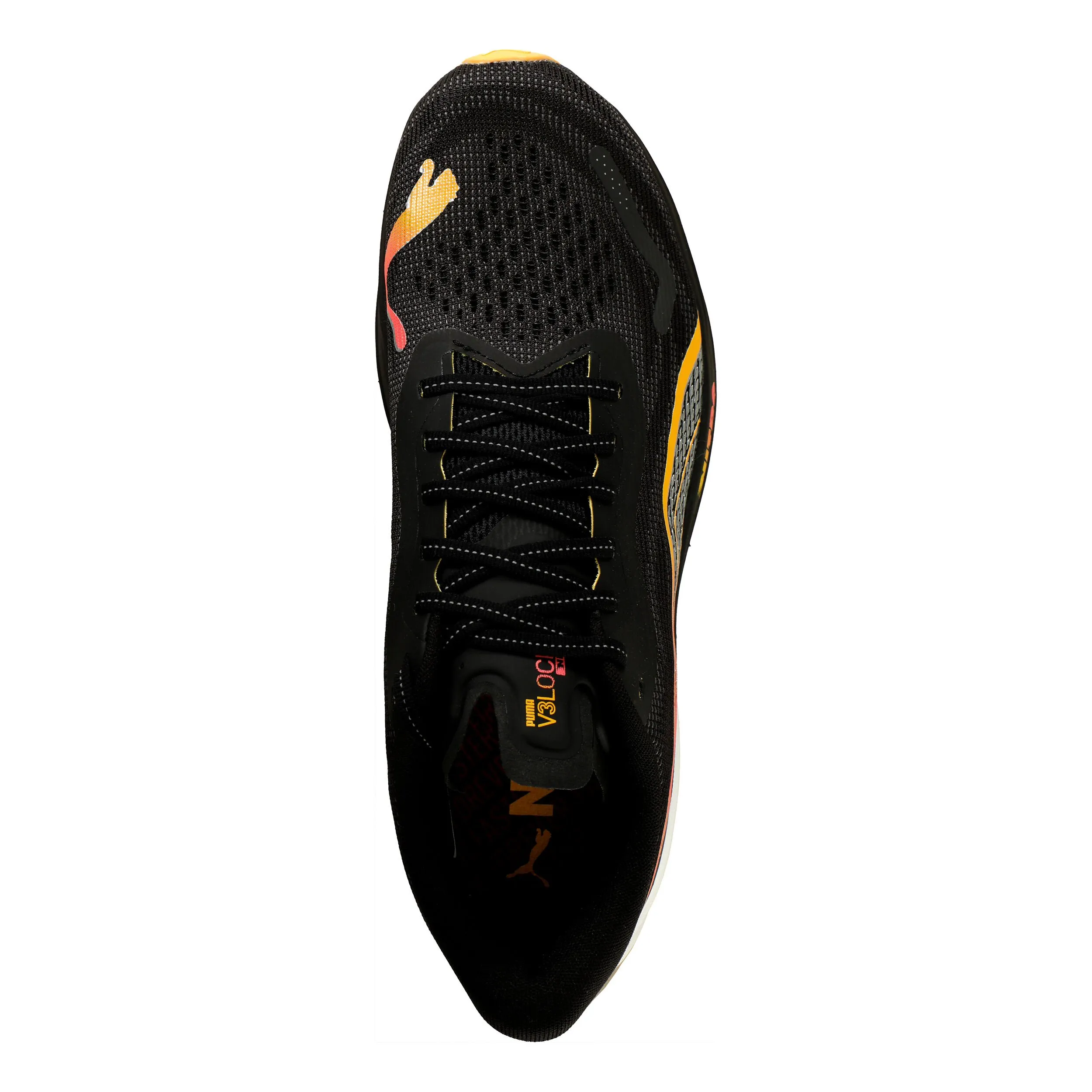 Velocity Nitro 3 FF Zapatilla Neutral Hombres